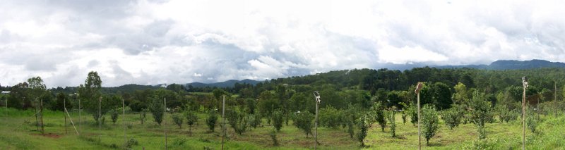 100_3545.JPG