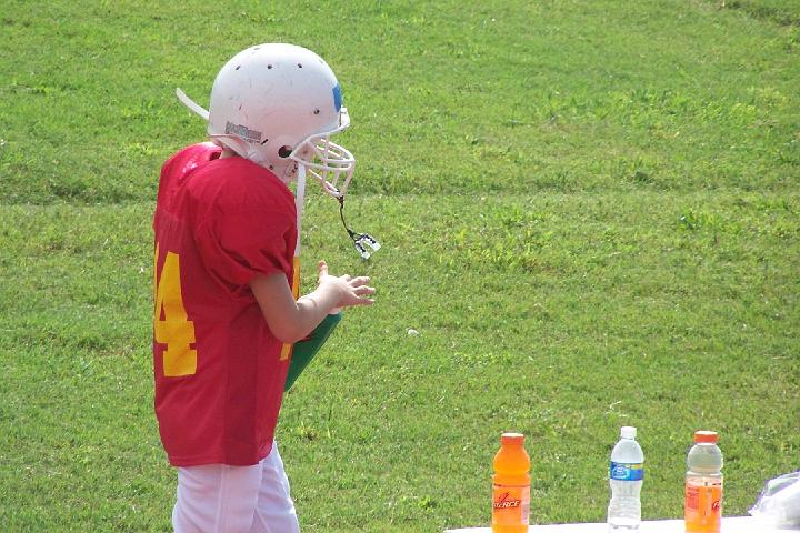 100_1229.jpg