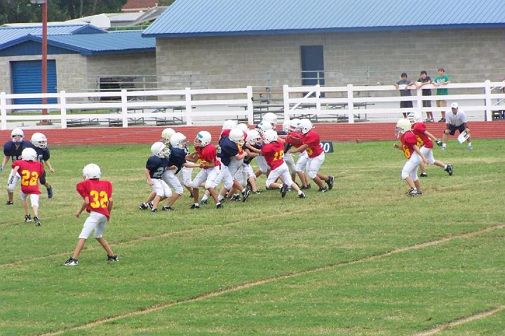 100_1250.jpg