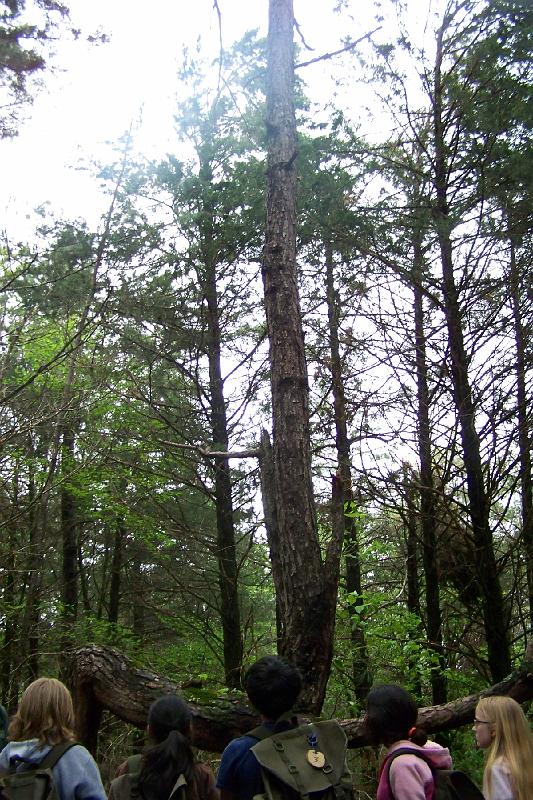 100_2255.JPG