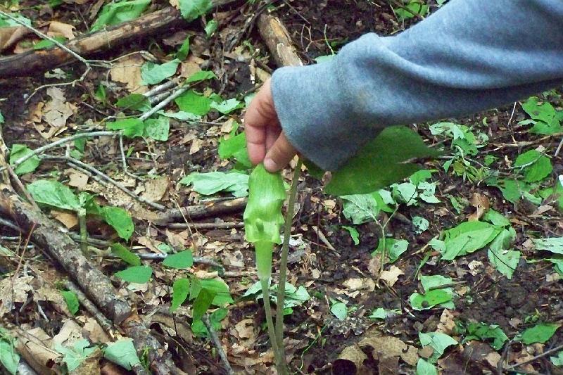 100_2258.JPG