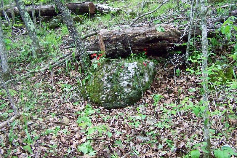 100_2260.JPG