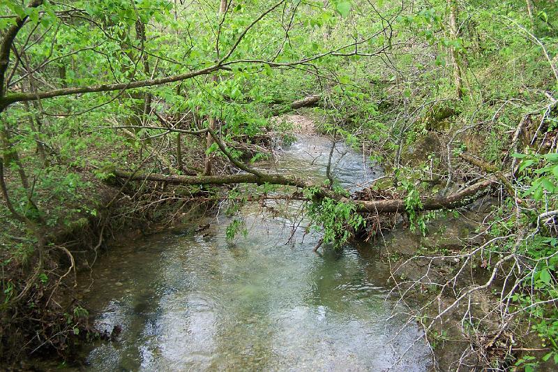 100_2280.JPG